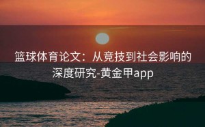 篮球体育论文：从竞技到社会影响的深度研究-黄金甲app