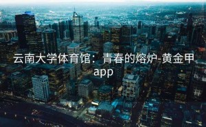 云南大学体育馆：青春的熔炉-黄金甲app