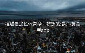 拉加曼加拉体育场：梦想的熔炉-黄金甲app