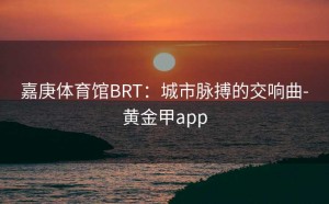 嘉庚体育馆BRT：城市脉搏的交响曲-黄金甲app