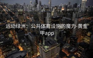 运动绿洲：公共体育设施的魔力-黄金甲app