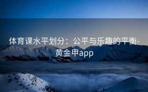 体育课水平划分：公平与乐趣的平衡-黄金甲app
