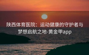 陕西体育医院：运动健康的守护者与梦想启航之地-黄金甲app