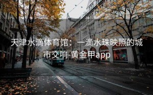 天津水滴体育馆：一滴水珠映照的城市交响-黄金甲app