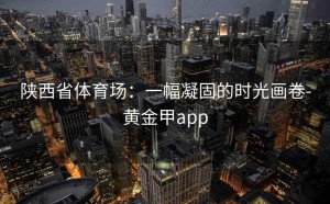 陕西省体育场：一幅凝固的时光画卷-黄金甲app
