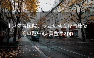 北京体育医院：专业运动医疗与康复的卓越中心-黄金甲app