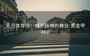 天河体育场：城市脉搏的舞台-黄金甲app