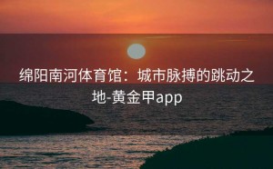 绵阳南河体育馆：城市脉搏的跳动之地-黄金甲app