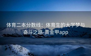 体育二本分数线：体育生的大学梦与奋斗之路-黄金甲app