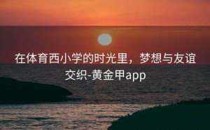 在体育西小学的时光里，梦想与友谊交织-黄金甲app