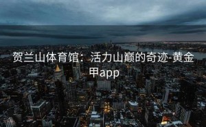 贺兰山体育馆：活力山巅的奇迹-黄金甲app