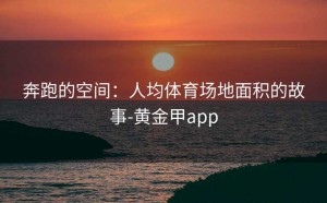 奔跑的空间：人均体育场地面积的故事-黄金甲app