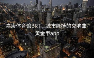 嘉庚体育馆BRT：城市脉搏的交响曲-黄金甲app