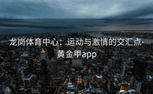 龙岗体育中心：运动与激情的交汇点-黄金甲app