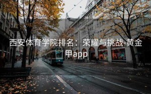 西安体育学院排名：荣耀与挑战-黄金甲app