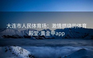 大连市人民体育场：激情燃烧的体育殿堂-黄金甲app