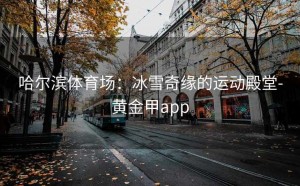 哈尔滨体育场：冰雪奇缘的运动殿堂-黄金甲app