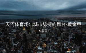 天河体育场：城市脉搏的舞台-黄金甲app