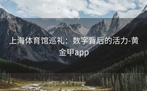 上海体育馆巡礼：数字背后的活力-黄金甲app