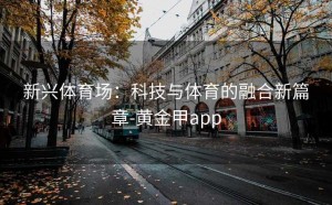 新兴体育场：科技与体育的融合新篇章-黄金甲app