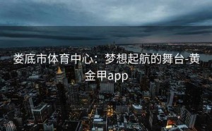 娄底市体育中心：梦想起航的舞台-黄金甲app