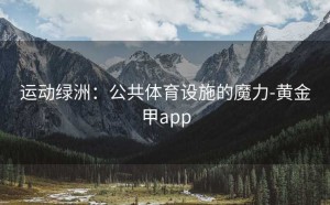 运动绿洲：公共体育设施的魔力-黄金甲app