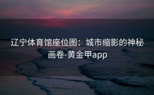 辽宁体育馆座位图：城市缩影的神秘画卷-黄金甲app