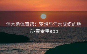 佳木斯体育馆：梦想与汗水交织的地方-黄金甲app