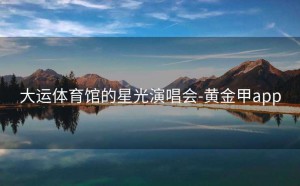 大运体育馆的星光演唱会-黄金甲app