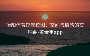 衡阳体育馆座位图：空间与情感的交响曲-黄金甲app