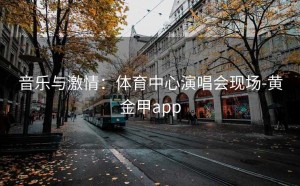 音乐与激情：体育中心演唱会现场-黄金甲app