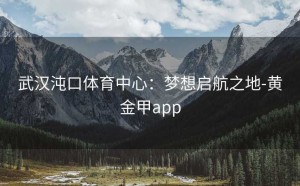 武汉沌口体育中心：梦想启航之地-黄金甲app