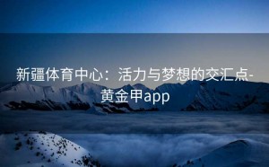 新疆体育中心：活力与梦想的交汇点-黄金甲app