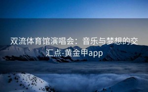 双流体育馆演唱会：音乐与梦想的交汇点-黄金甲app