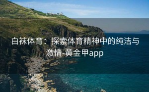 白袜体育：探索体育精神中的纯洁与激情-黄金甲app
