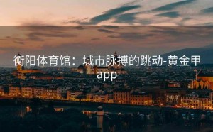 衡阳体育馆：城市脉搏的跳动-黄金甲app
