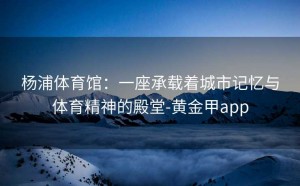 杨浦体育馆：一座承载着城市记忆与体育精神的殿堂-黄金甲app