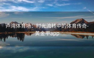 卢湾体育场：时光流转中的体育传奇-黄金甲app