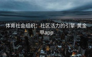 体育社会组织：社区活力的引擎-黄金甲app