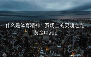 什么是体育精神：赛场上的灵魂之光-黄金甲app
