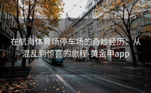 在航海体育场停车场的奇妙经历：从混乱到惊喜的旅程-黄金甲app