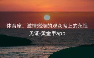 体育座：激情燃烧的观众席上的永恒见证-黄金甲app