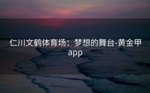 仁川文鹤体育场：梦想的舞台-黄金甲app