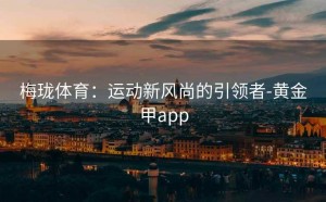梅珑体育：运动新风尚的引领者-黄金甲app
