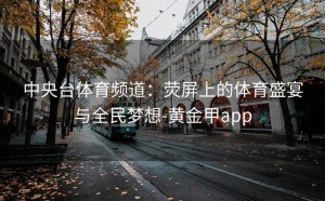 中央台体育频道：荧屏上的体育盛宴与全民梦想-黄金甲app