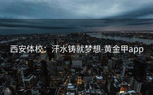 西安体校：汗水铸就梦想-黄金甲app