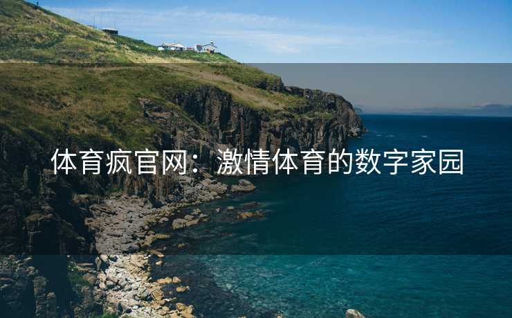体育疯官网：激情体育的数字家园