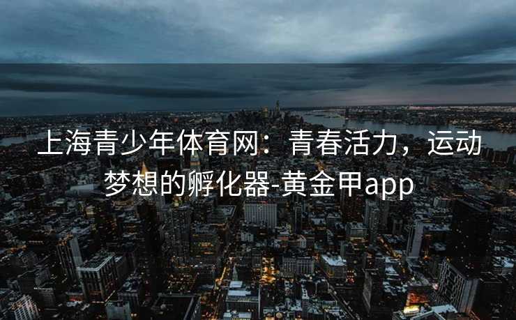 上海青少年体育网：青春活力，运动梦想的孵化器-黄金甲app