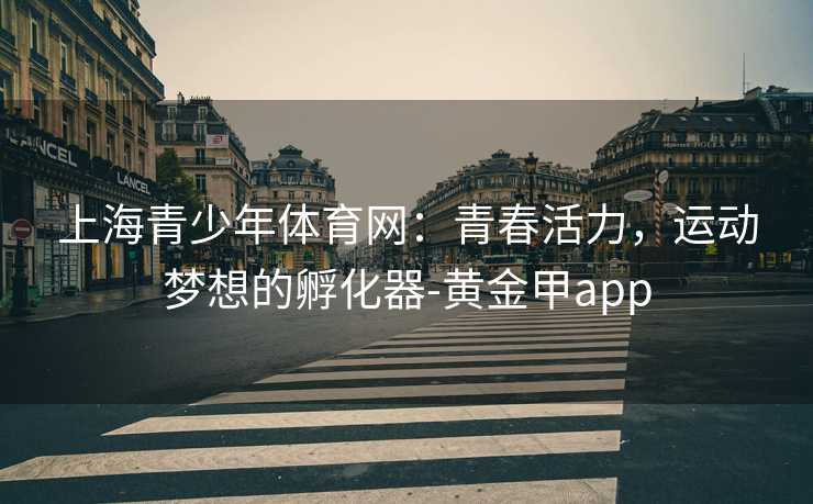 上海青少年体育网：青春活力，运动梦想的孵化器-黄金甲app