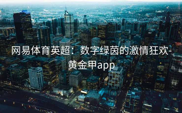 网易体育英超：数字绿茵的激情狂欢-黄金甲app